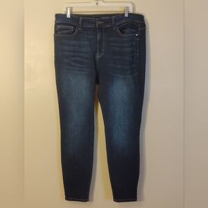 Judy Blue Dark Wash Skinny Jeans